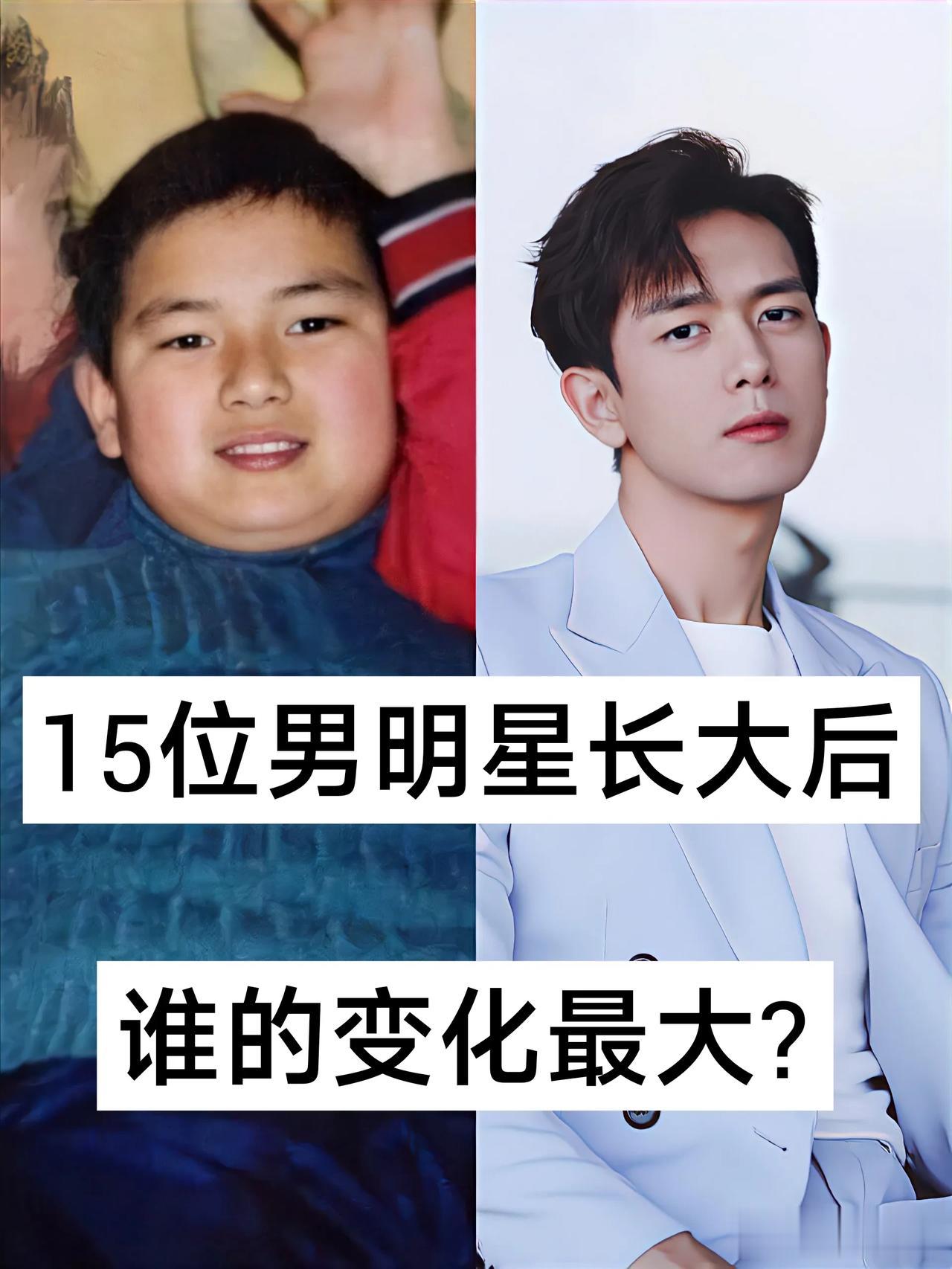 15位男明星长大后 谁的变化最