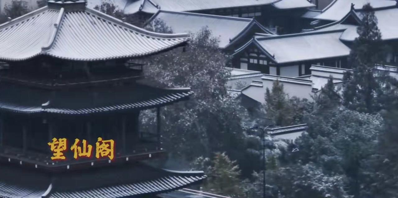 偶然间刷到一个视频，是前些时日，杭州初雪。

天地一片苍茫，六出如砂似霰，洒落在