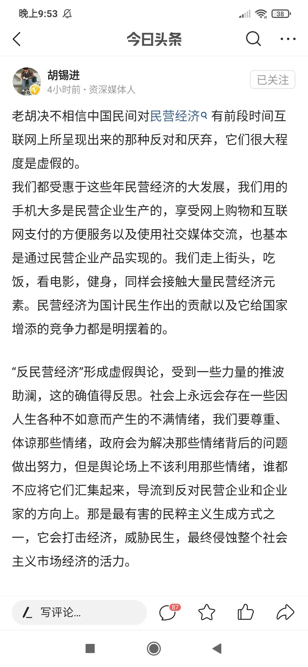 胡锡进反对现在出现的“反民营经济”的言论，他认为民间没有厌恶“民营经济”，说这种