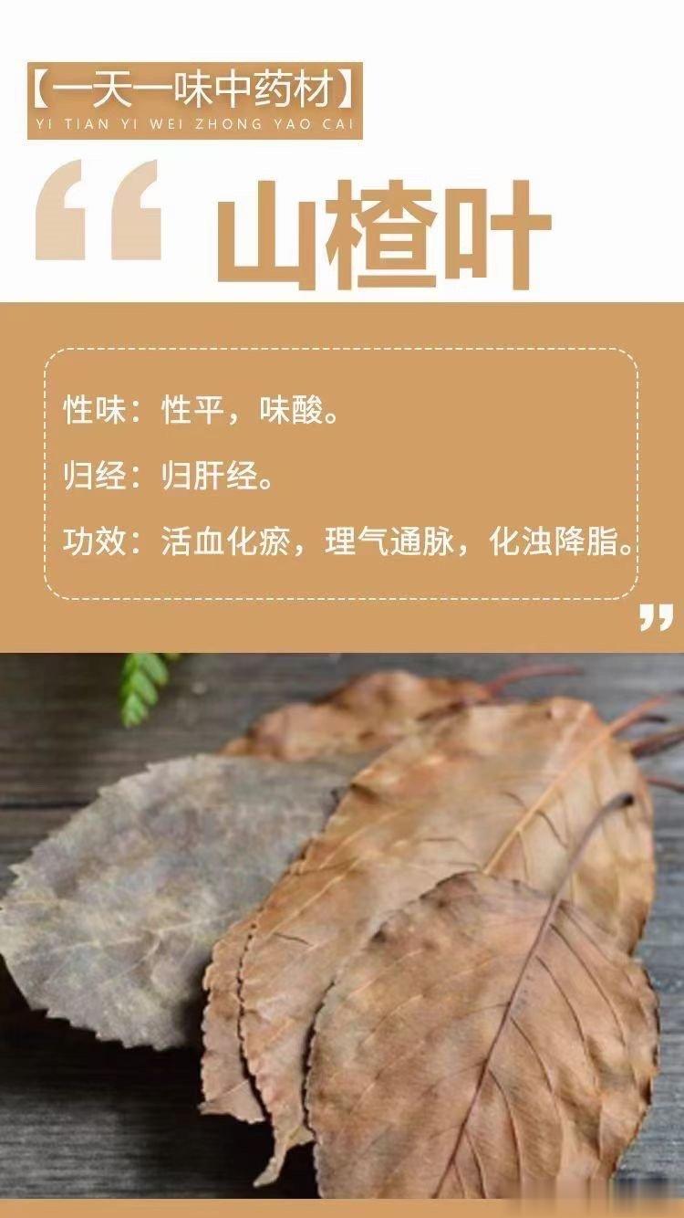  🌿【一天一味中药材】🌿 