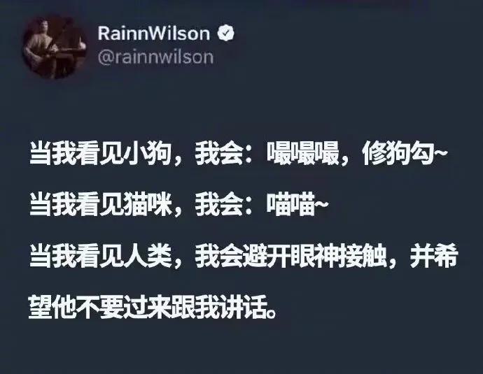 真实到让我怀疑在我身上装了监控