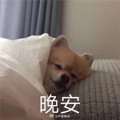 对任何爱的事情都要全力以赴，包括爱自己。#晚安#