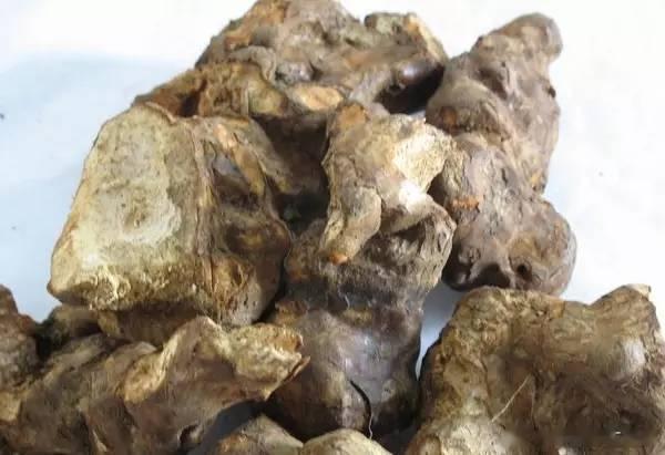 土茯苓除湿排浊，用量很关键！[赞]黄和 陈立山 导读：今天学习各位中医明家运用土