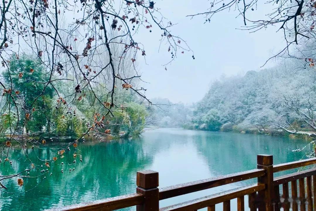 美丽的雪中仙境
 

