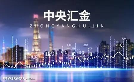 中央汇金投资有限公司作为四大行的大股东，资产规模有多大？可能超乎你的现象，据中金