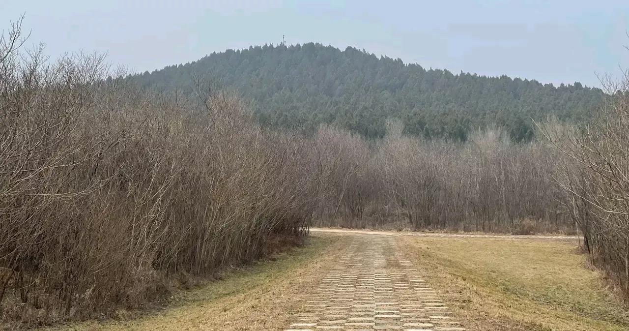 秦始皇陵的封土像一座大山！
下面埋藏着很多2200多年前的宝贝！

但是我们目前