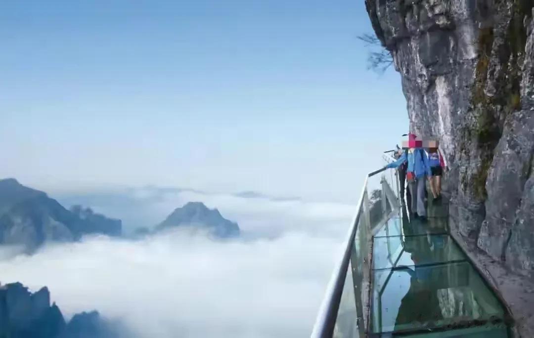  这是头一次听说还有“约死”的？据景区导游说，4人疑似组团自杀，“他们4个都吃了