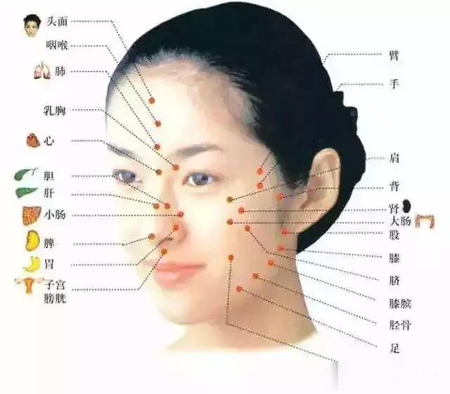 痘痘的位置反应病根的位置1、额头长痘压力过大、焦躁易怒，心火旺，血液循环不好2、