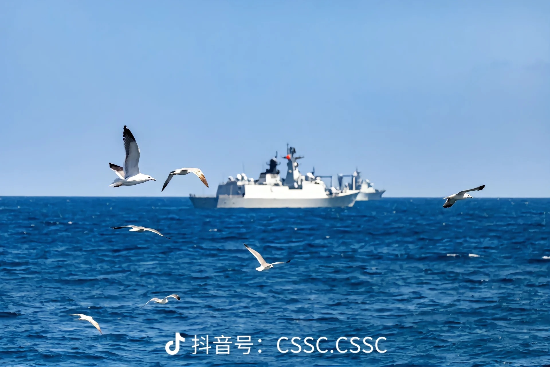 海军这样的好图太难得了，希望官方能够多多发一些精品高清大图，让好的作品能够下沉，