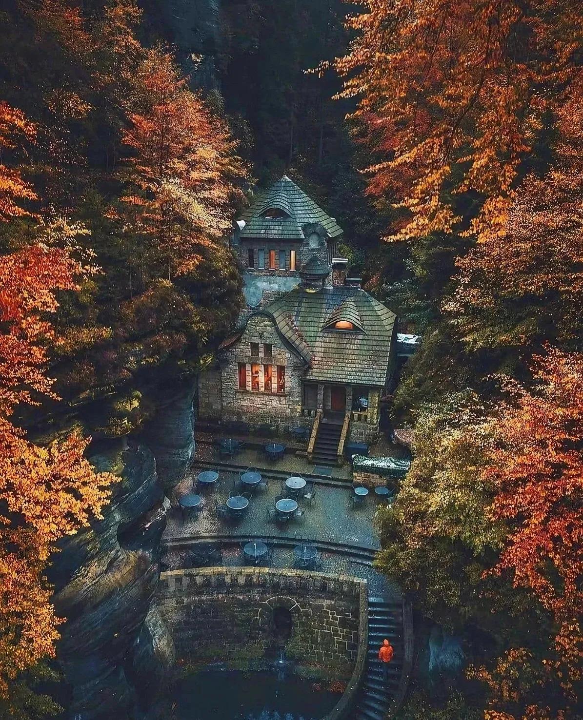 林中小屋，每一张都美得像电影海报。