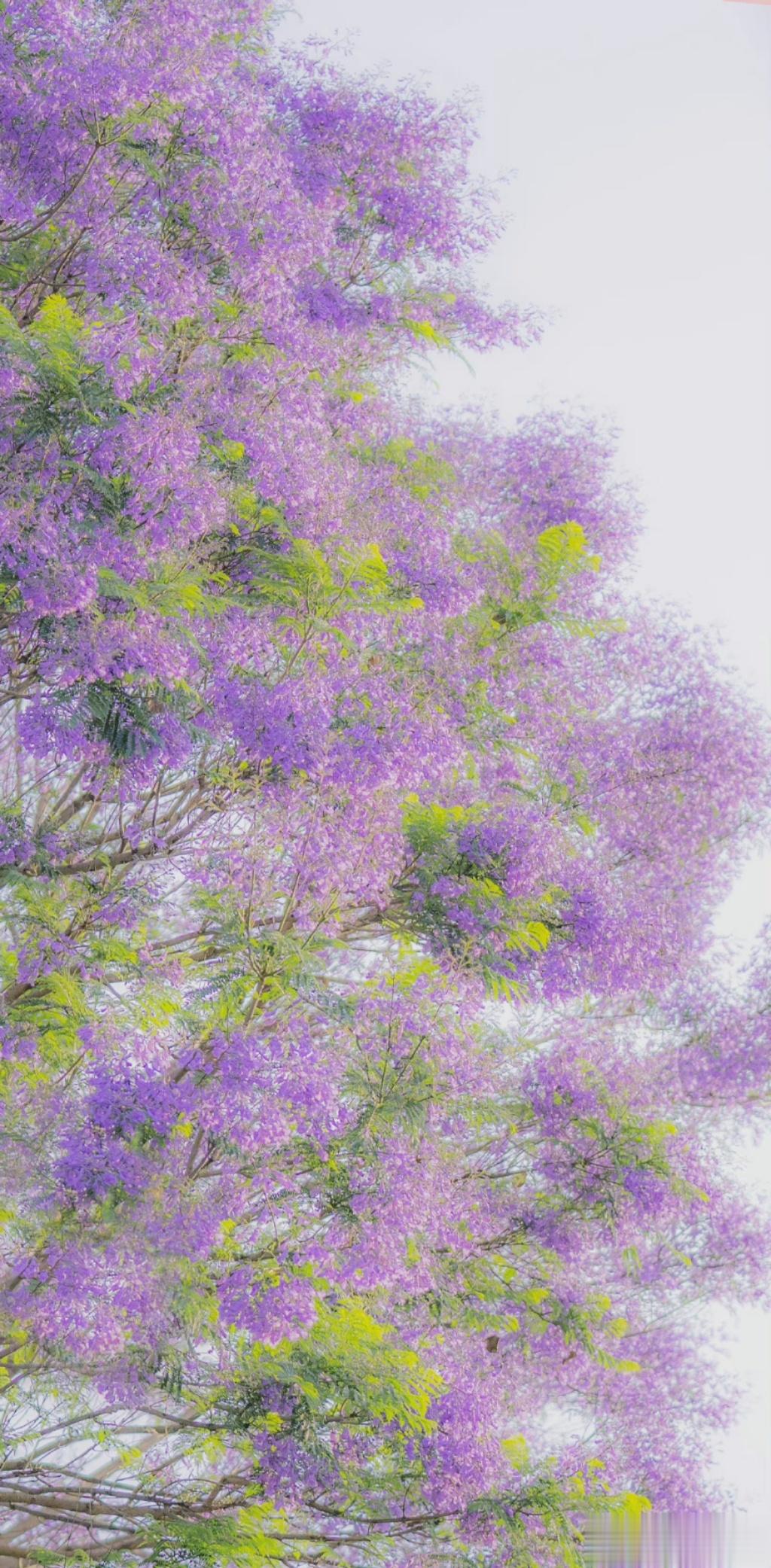别人都在这个春暖花开的季节里野炊、踏青、谈恋爱，我却在这个春暖花开的季节里上班，