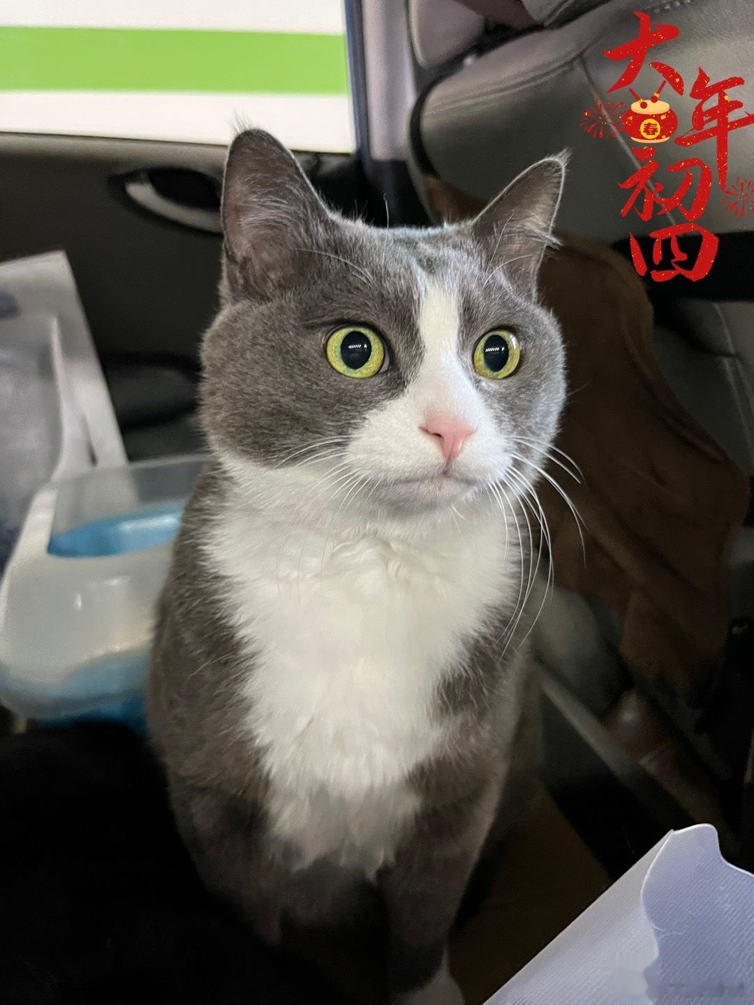 出发上省城玩儿咯～ ​​​