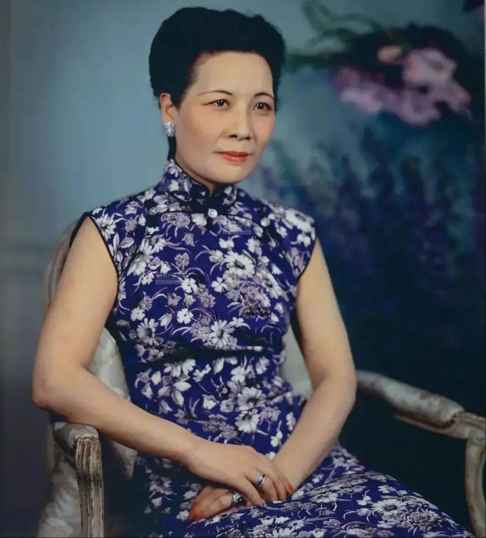 1948年的南京，蒋公夫妇俩的合影，两人相守48年，感情一直非常好。
虽说他们的