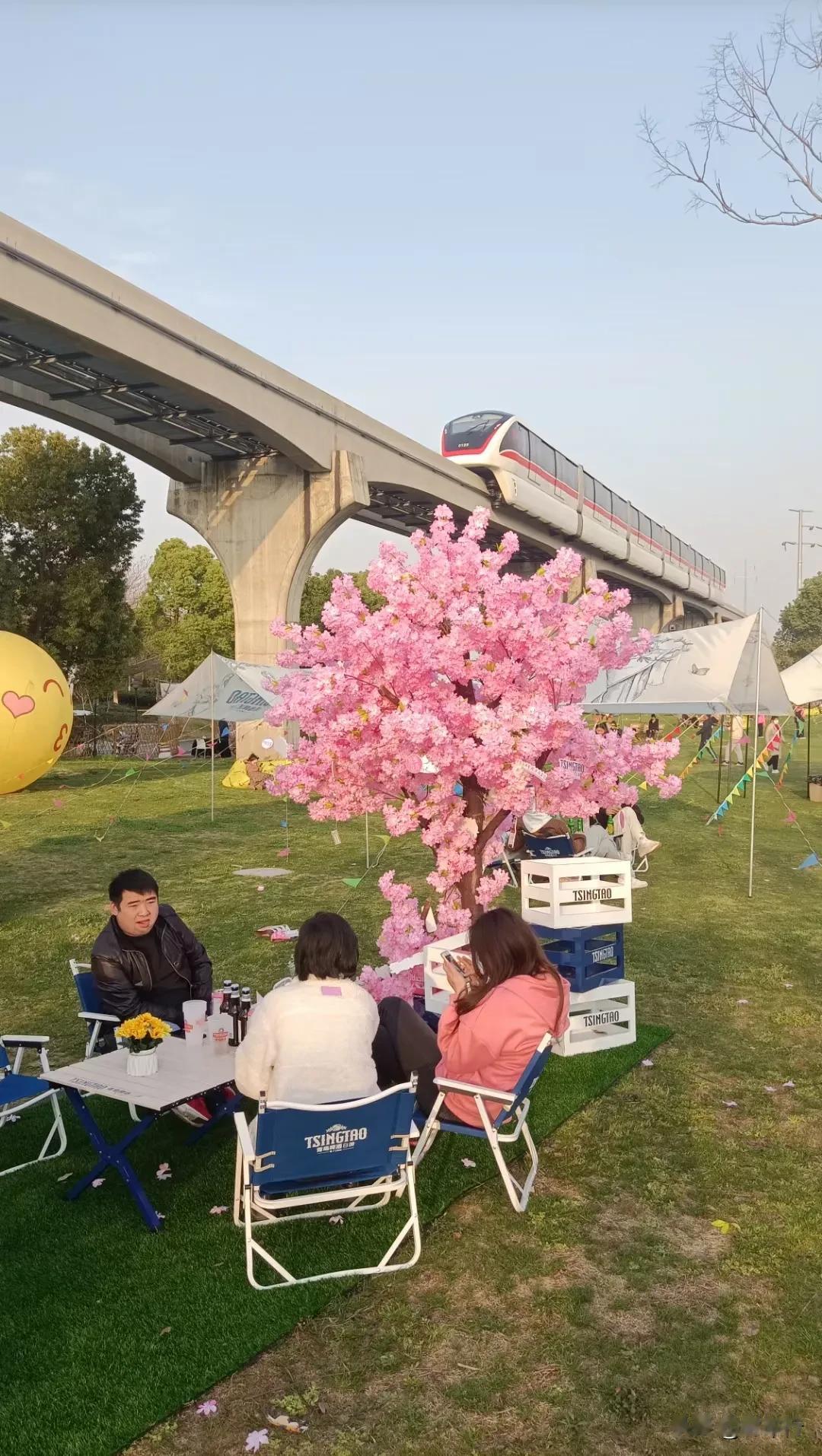 青岛啤酒·樱你而美·途居房车露营🏕️音乐节·龙山露营音乐节即将开场！来途居露营