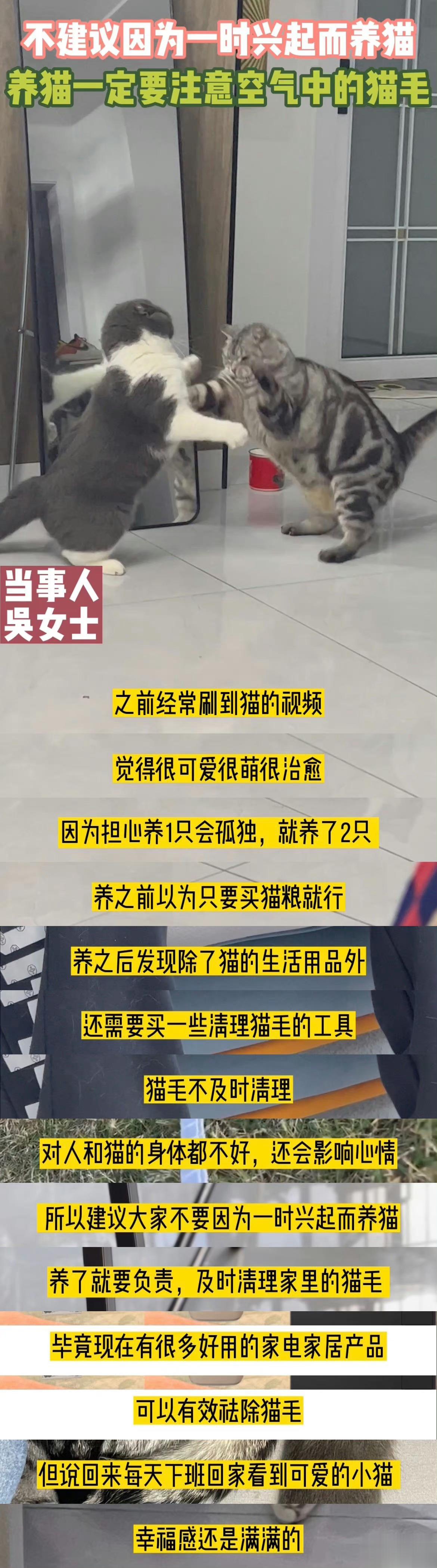 以一时兴起的方式去养猫，我觉得这不是一个妥当的行为，确实也希望我们大家都好好注意