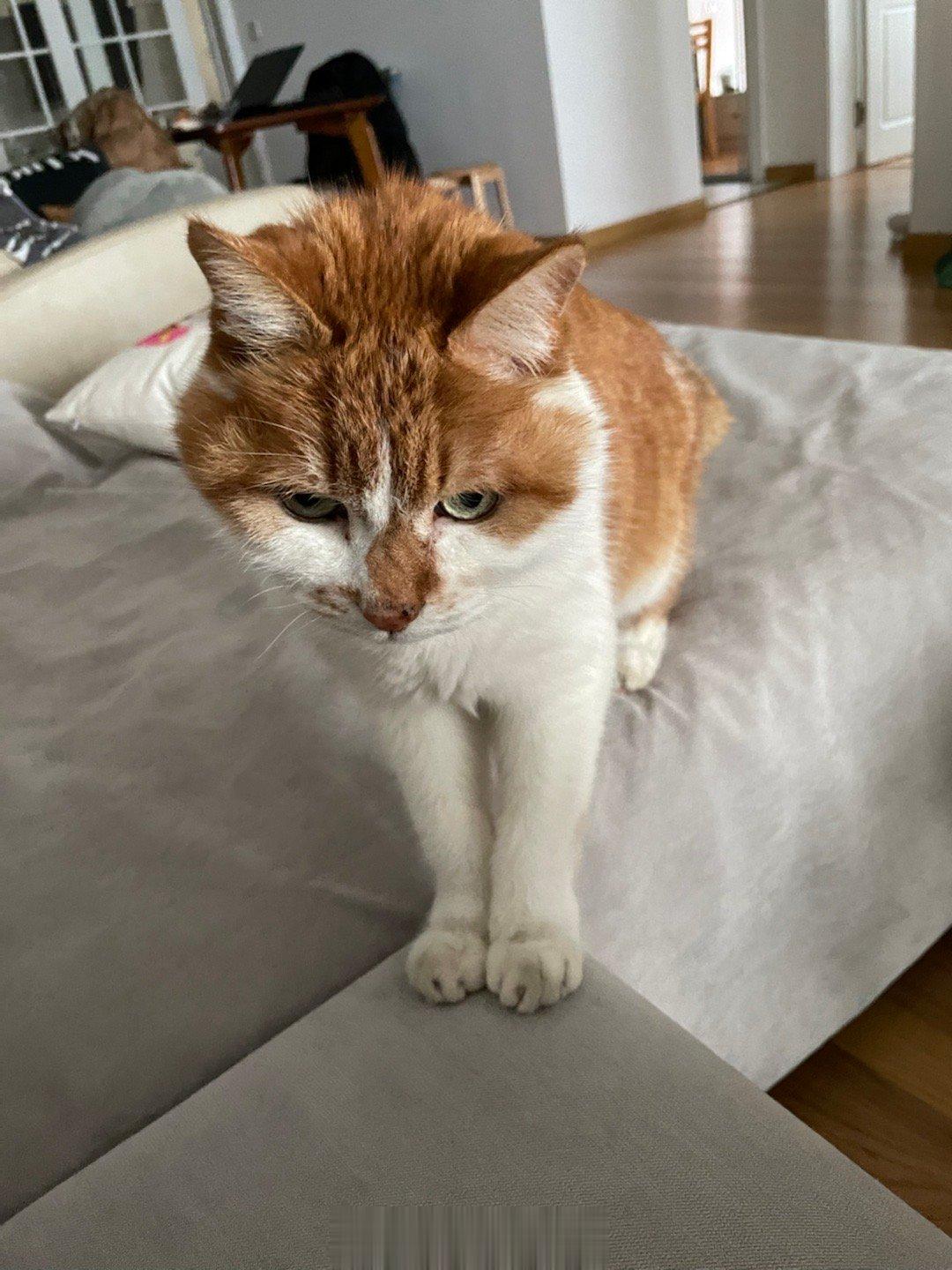  乖乖巧巧，端端正正，好像跟半夜破口大骂的那个怪兽没有什么关系。 ​​​