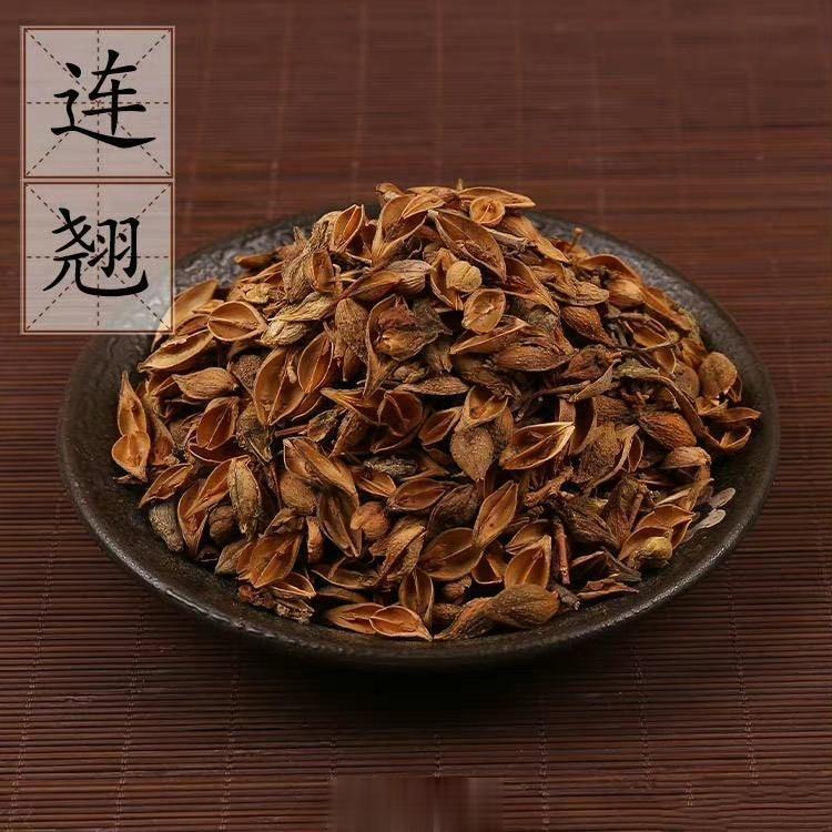 张锡纯医案：张锡纯用连翘不仅将