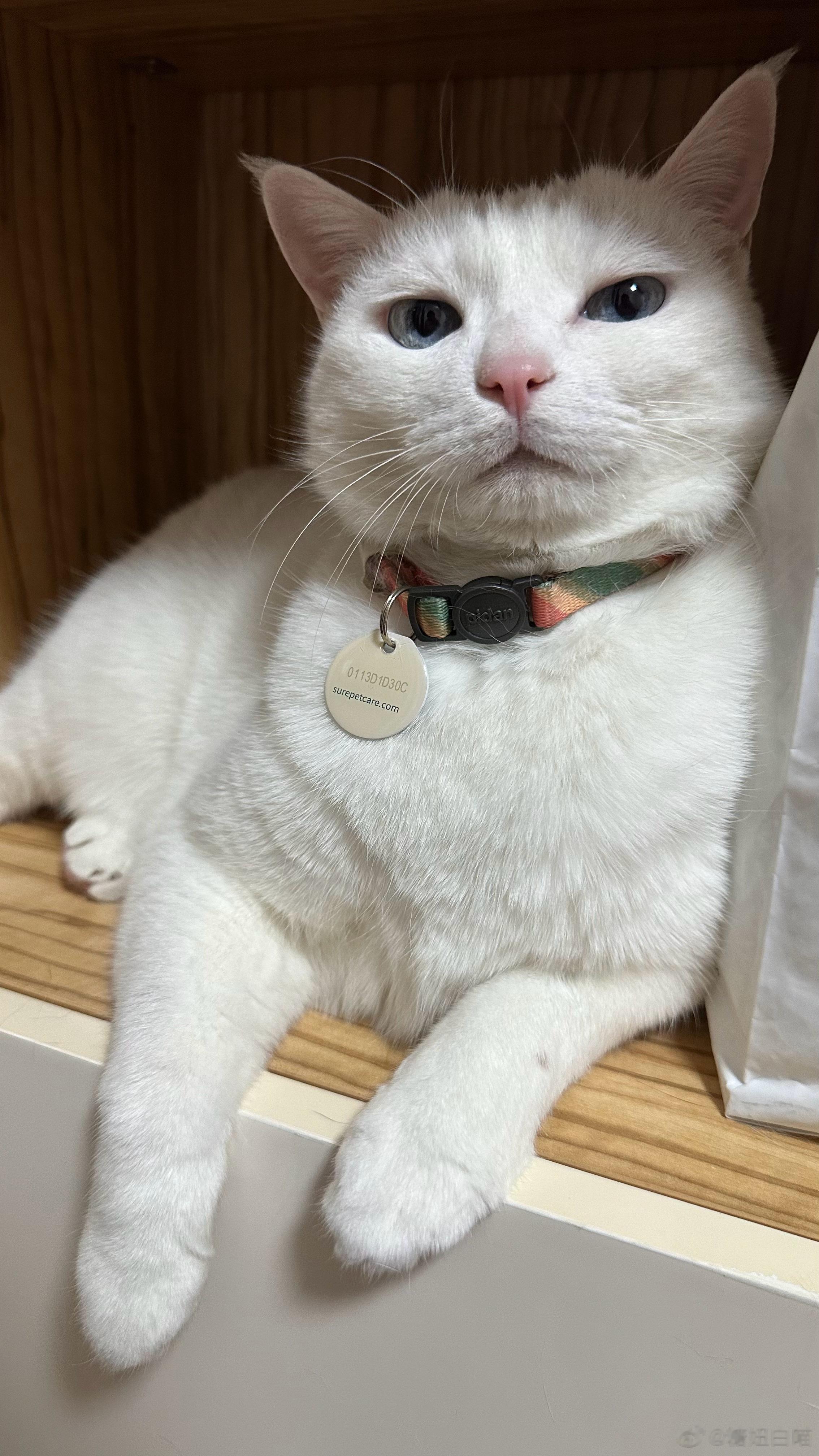  早 ​​​