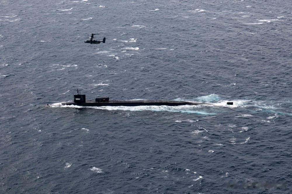 驻扎在东海岸的美国海军特种作战人员 (SEAL) 与北约特种作战部队 MK-V 