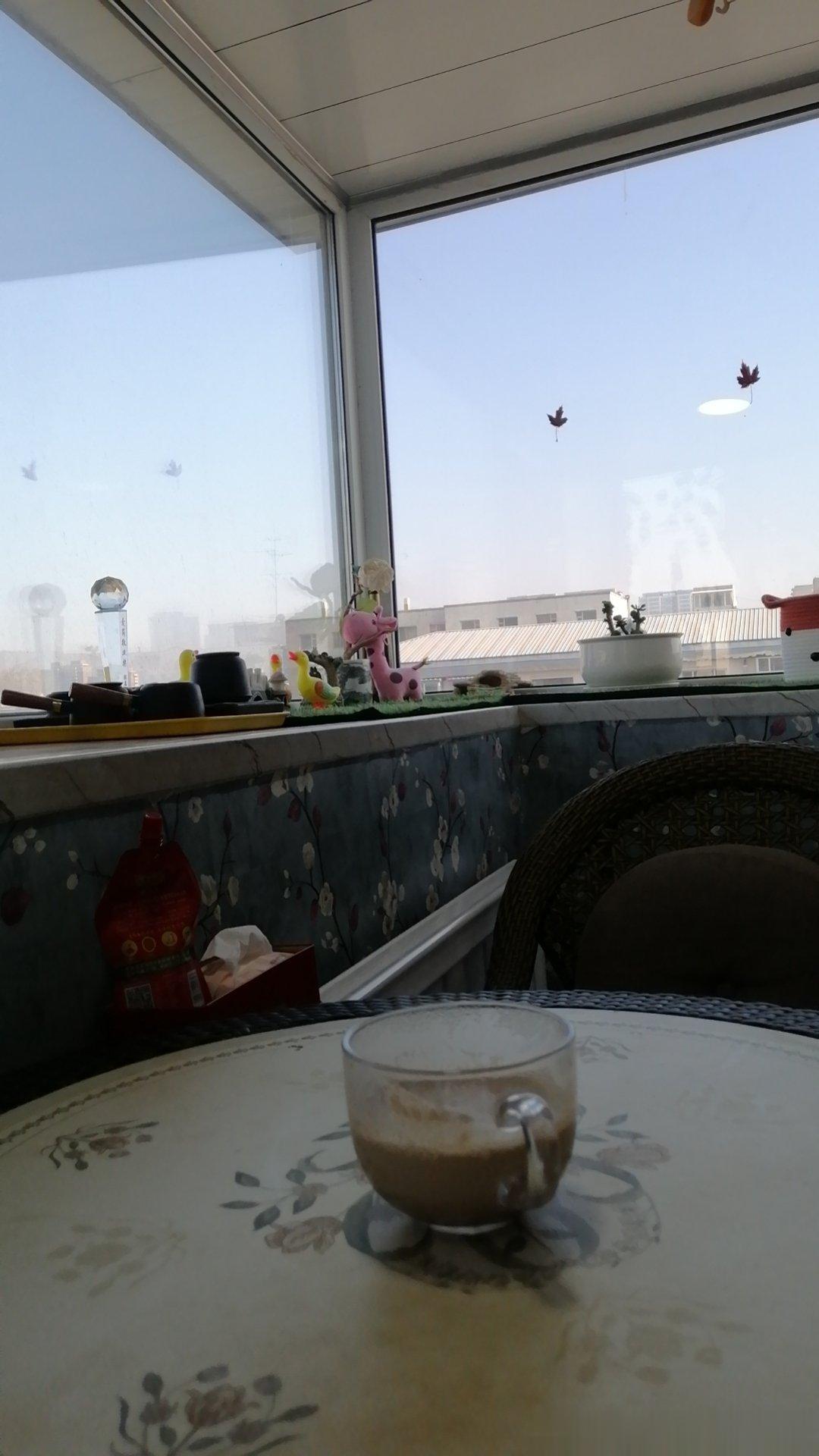 早晨一杯热咖啡，生活快乐终属谁。​烦恼不会天天有，刚刚看过飞鸟飞。外面阳光多灿烂