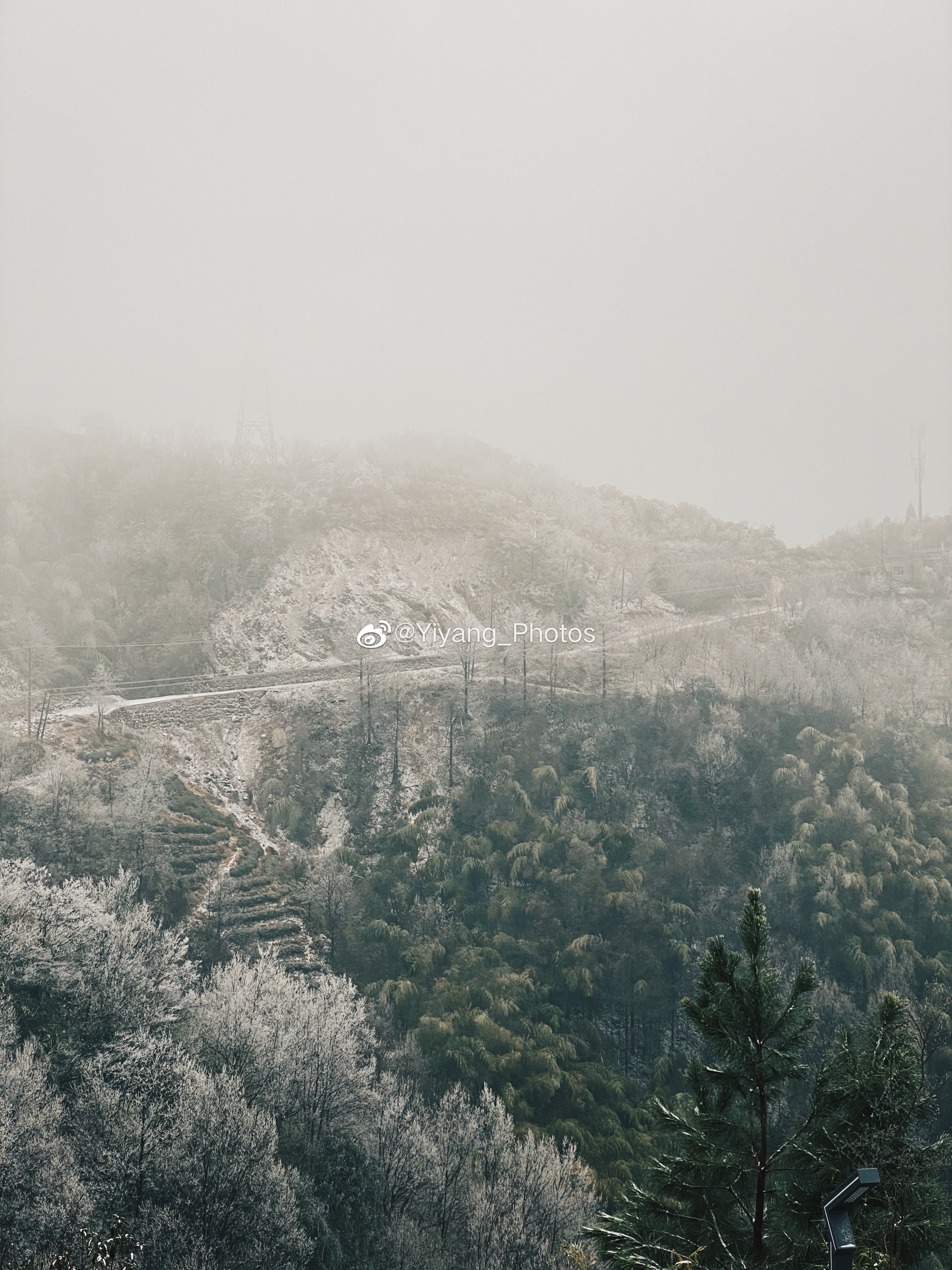 周末小记，雪中的四明山，很冷很