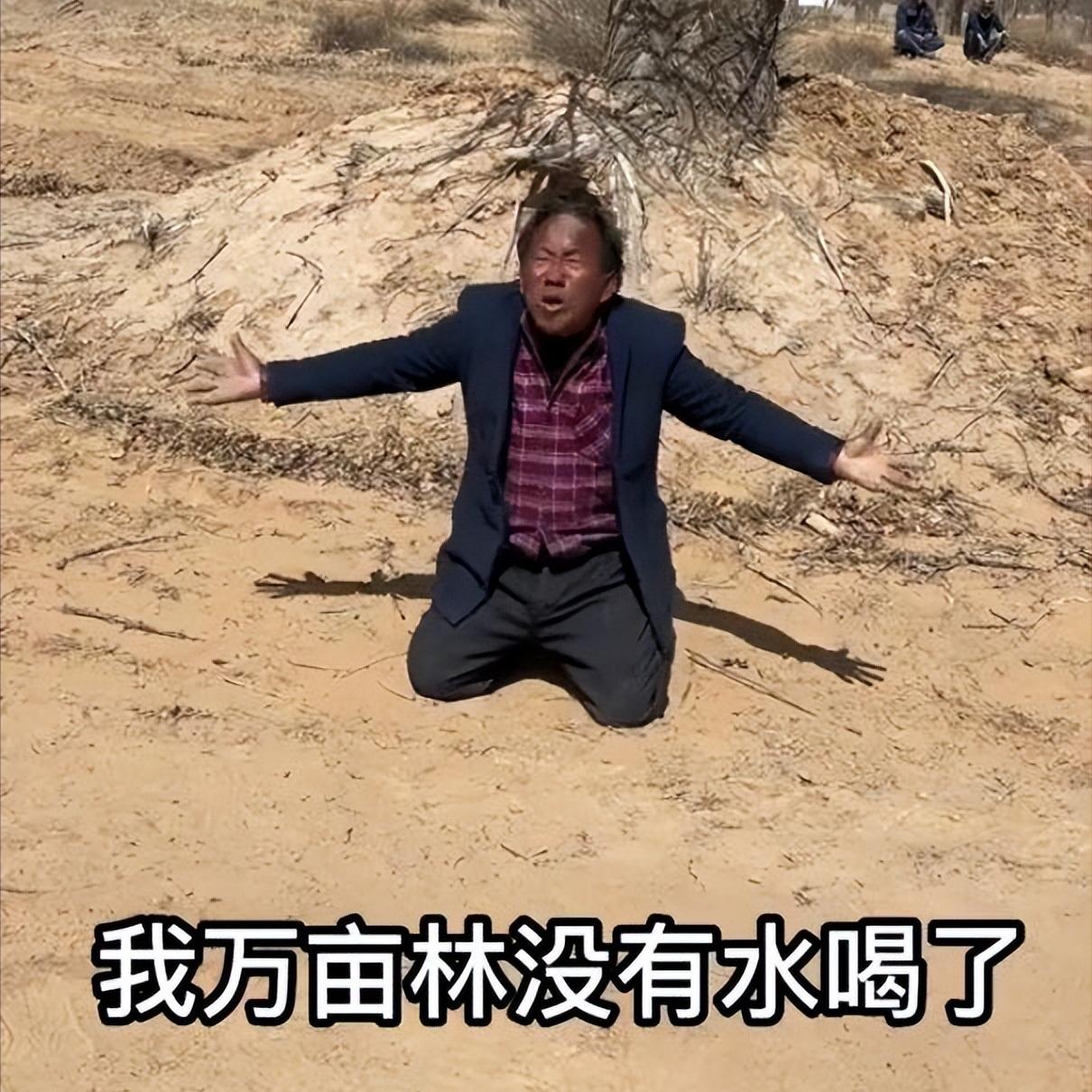 谁在阻止孙国友种树？宁夏跪地求水的林场主，如今有水了！但这水并不是煤矿协商好的净