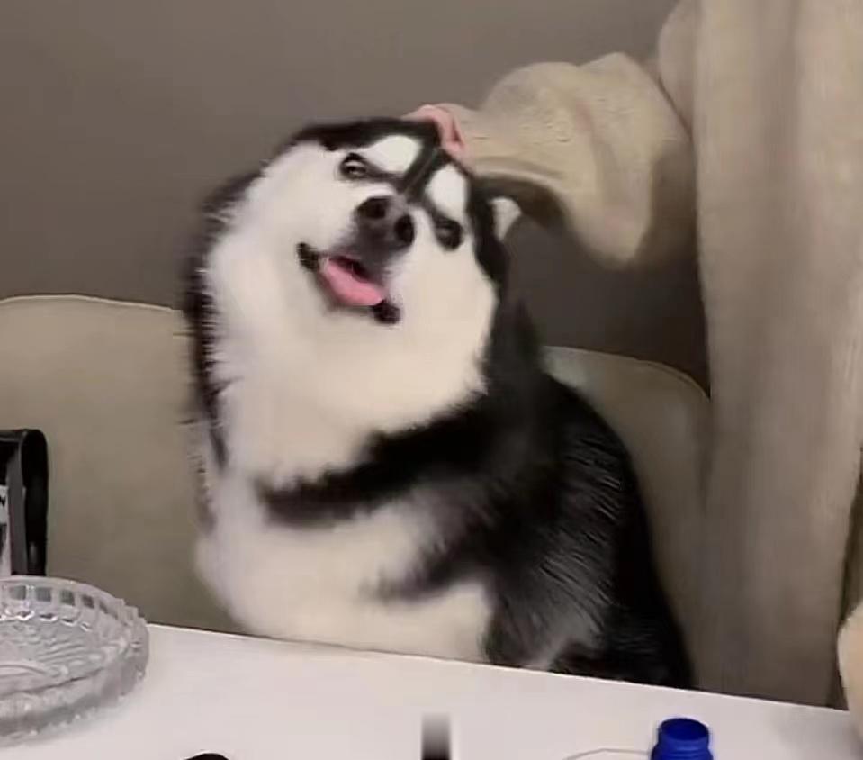 偷吃被发现 ​​​