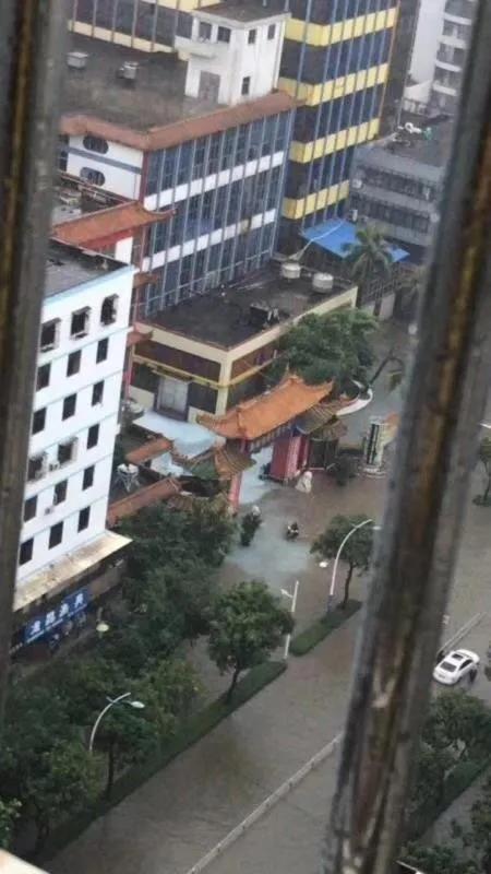 为什么椰树牌椰汁能如此垄断椰汁市场？椰树基本垄断了海南的所有椰子原料，它的原材料