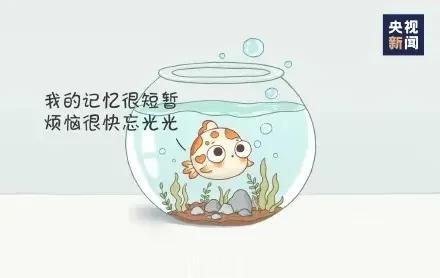 也许现在的生活有点难，工作上也有各种不顺（甚至还在为找份糊口的工作愁白了头）……