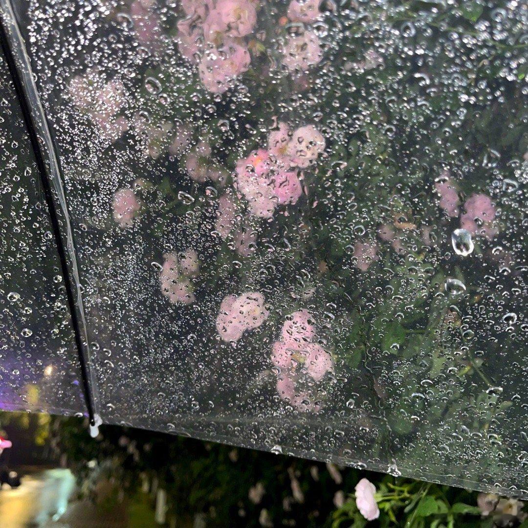 我确实不开心 但我连表达不开心的欲望都没有 看似热腾腾的生活 隐藏在心底的心酸只