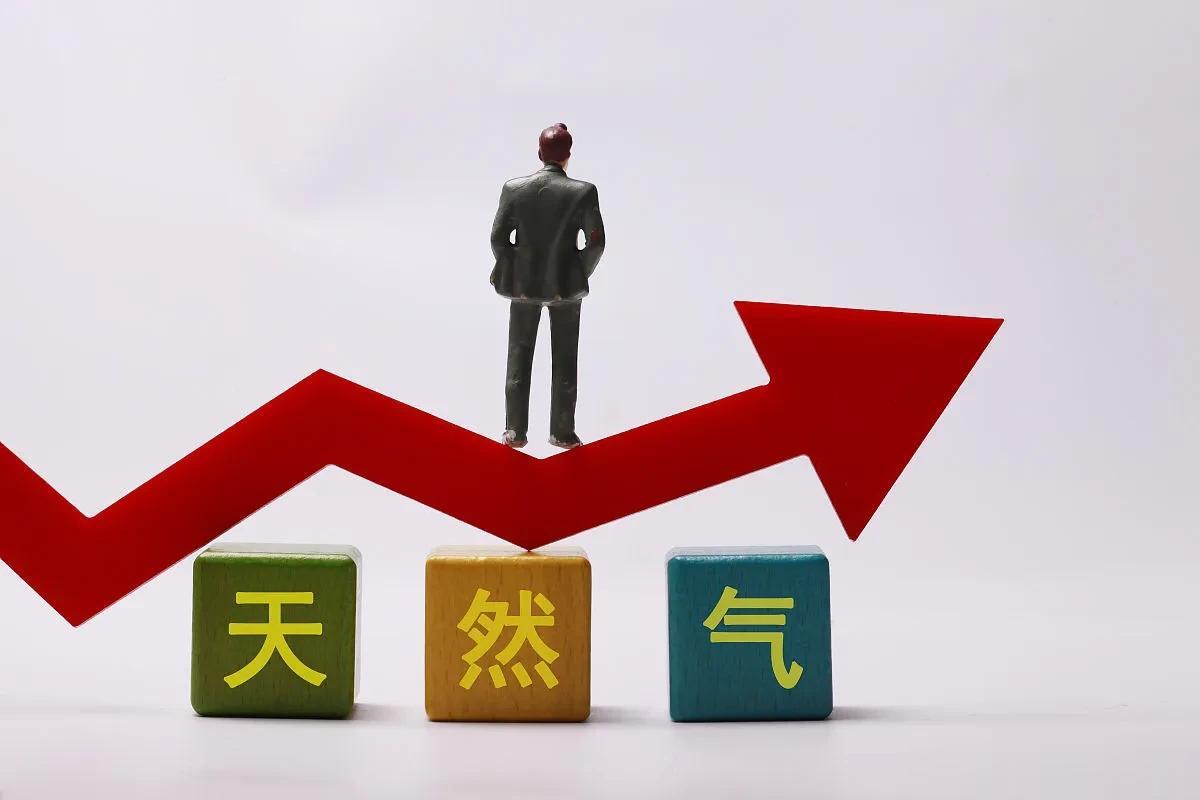 全球第一！欧盟2022年液化天