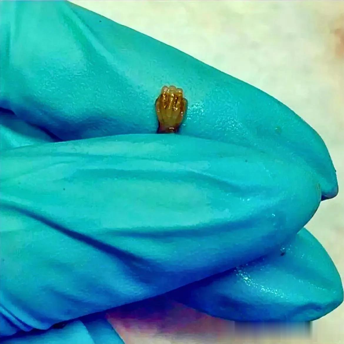 生而为人，
活着为了让自己的死亡有意义，
死亡是为了督促自己更好地活。

照片是