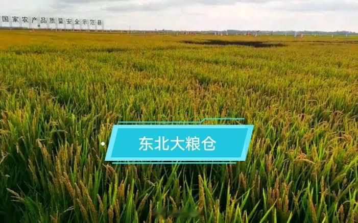 2022年，黑、吉、辽的常住人口分别减少26万、27.7万、32万，一年之间，整
