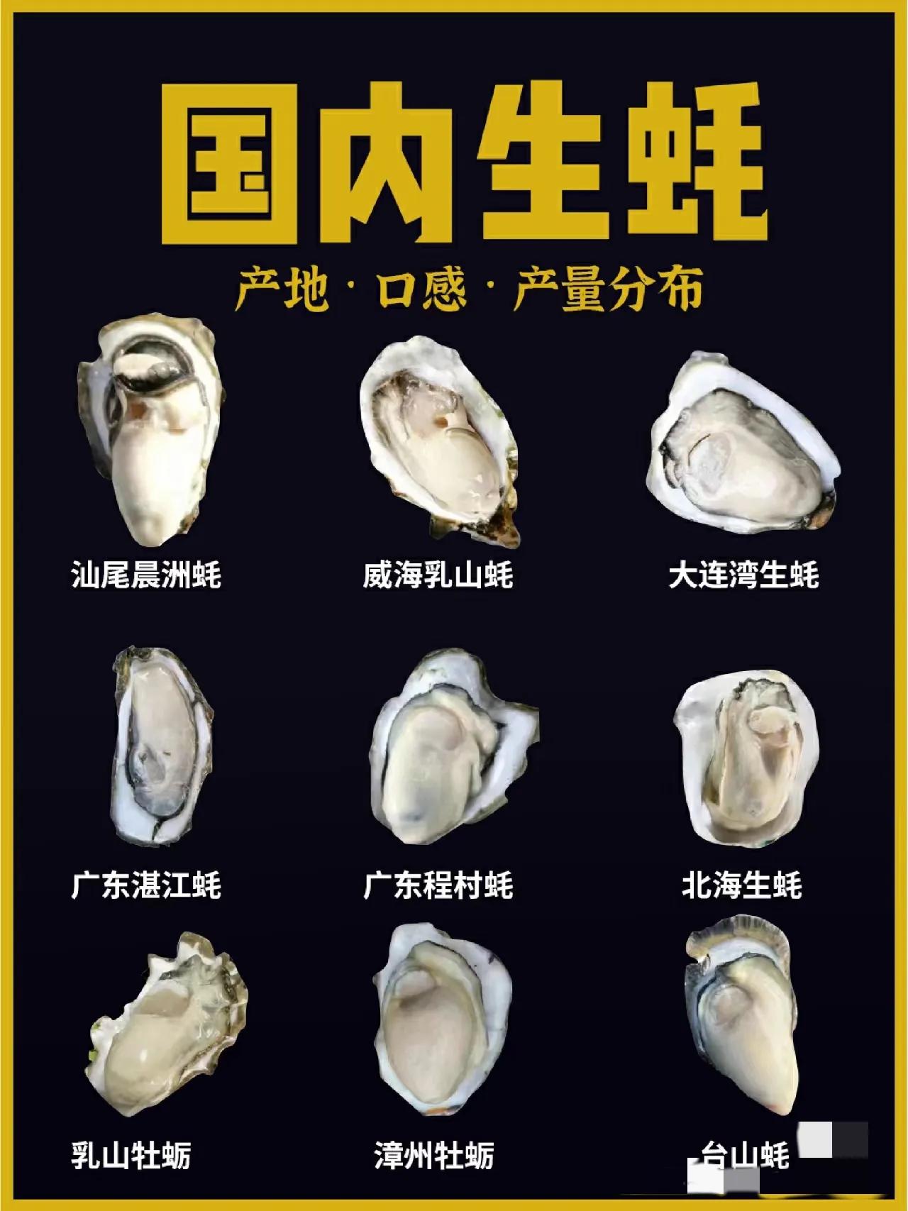 教你认蚝，又称海蛎子、牡蛎等，他们不仅肉鲜味美、营养丰富, 而且具有独特的保健功
