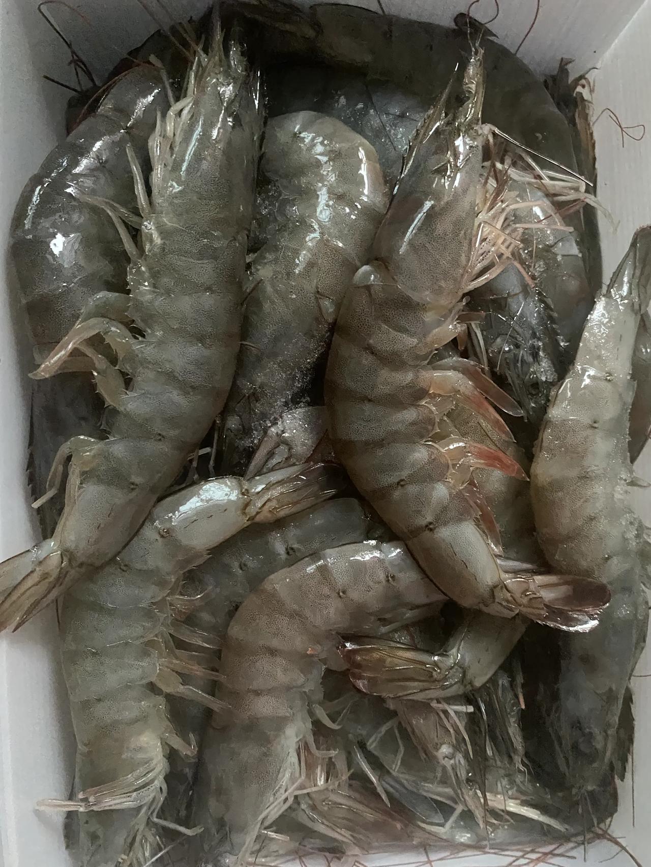 在东方甄选买的大虾，虽然有点贵但是真的很好哦，称得上优质大虾，而且非常新鲜。给东