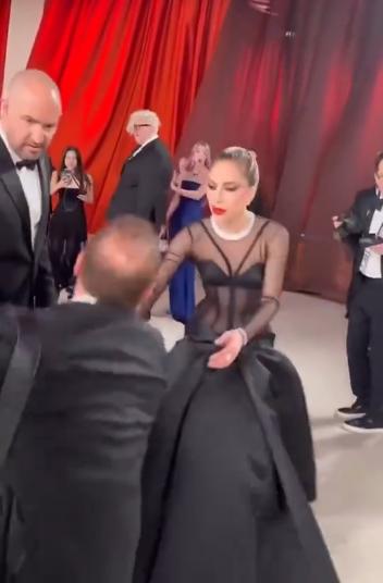 奥斯卡红毯，最令人感动的就是明星Lady Gaga了
3月13日奥斯卡红毯仪式如