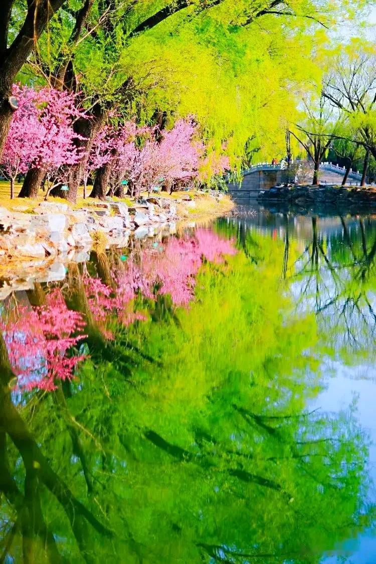分享图片——景色宜人的春天
风和日丽，鸟语花香
气象万千，欣欣向荣
桃李春风，蓓