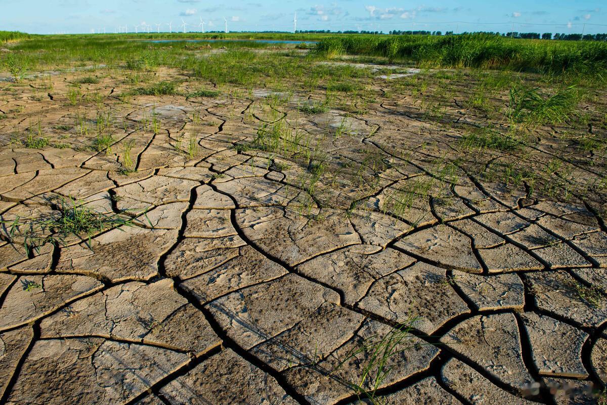  人生四大喜之第一喜:久旱逢甘霖💚❤️左右我悲欢喜乐的，还得是你 24小时之前