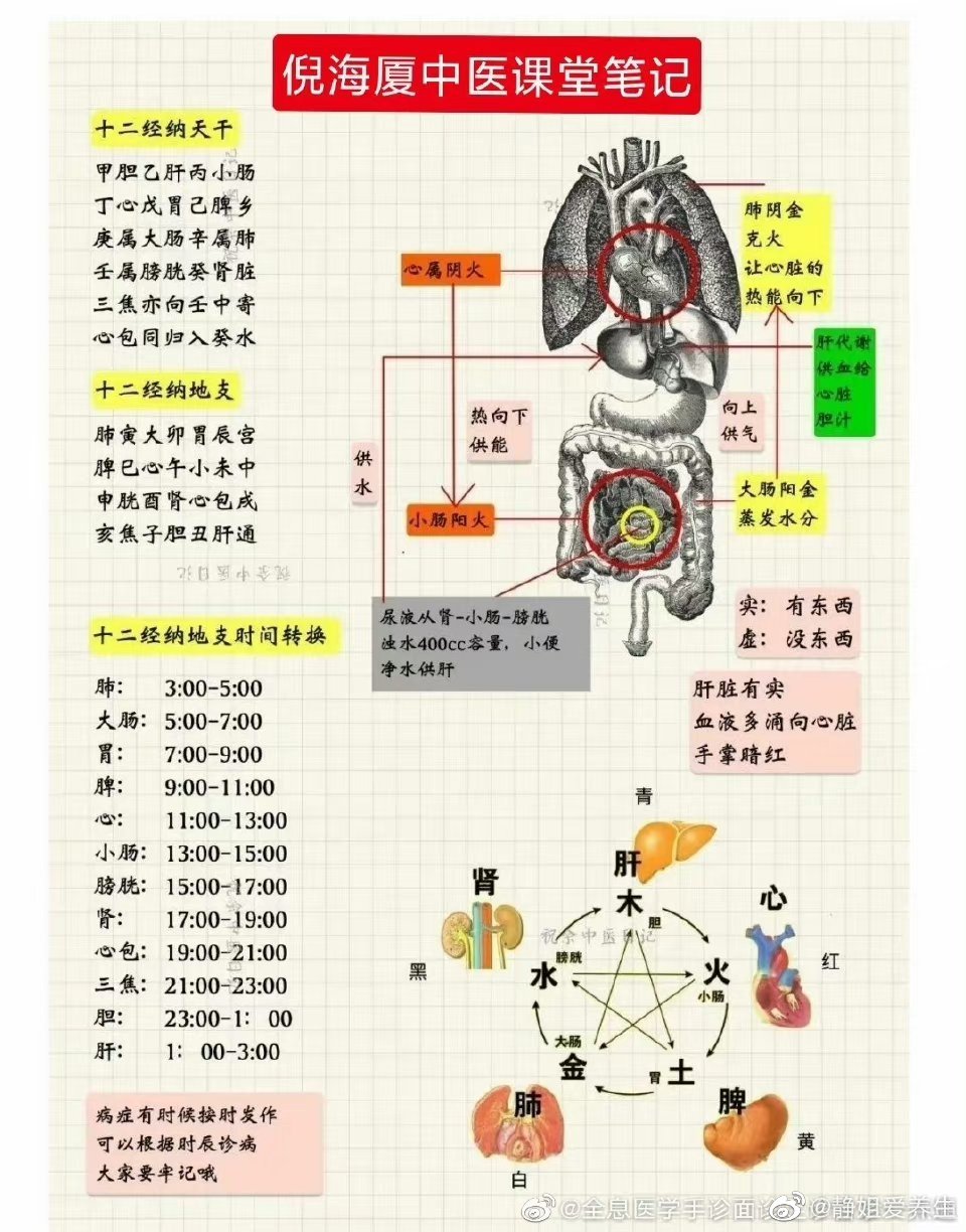  专业的好好收藏​好好爱惜自己的身体​从每天认真喝五清茶开始 ​​​