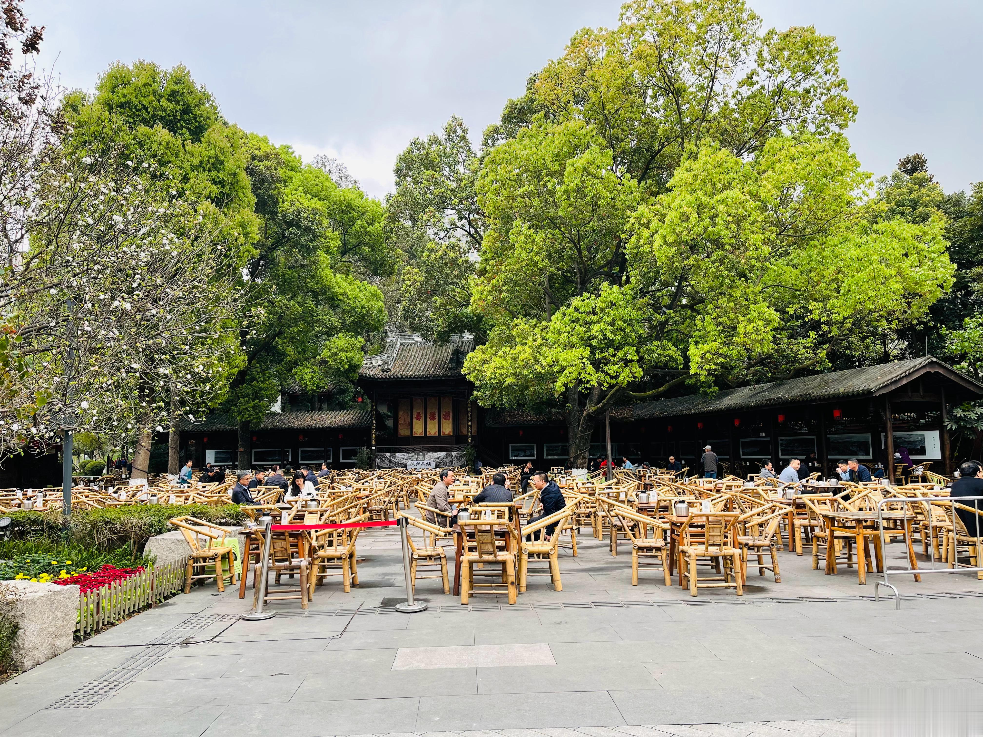 喝会儿茶再去机场。都来成都了，不喝会儿茶感觉像白来似的[哈哈][哈哈][哈哈]你
