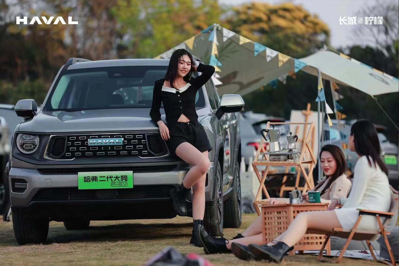 如果预算15万上下，想上新能源牌照，又想偶尔轻越野，现在有一个新选择了。哈弗大狗