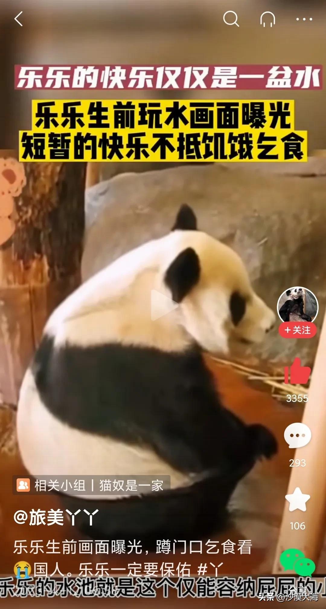 美国这国家，脸皮厚到极致，乐乐死了，丫丫九死一生，合同到期了，就是不盖章让丫丫回