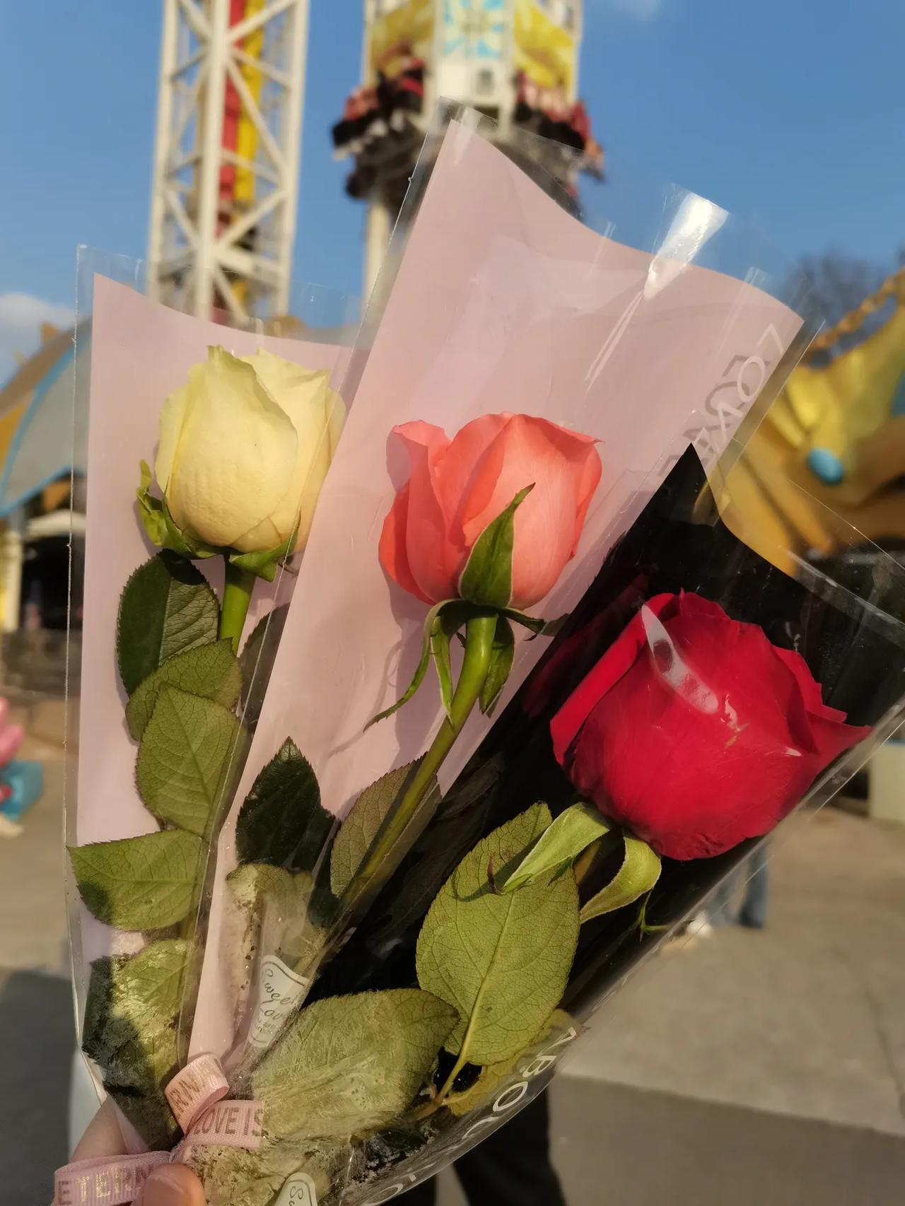 你们都在晒情人节的花，
笑死，花而已，
我自己坟头也会长！