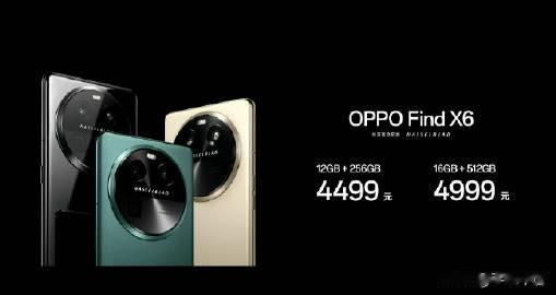 OPPO Find X6 系列价格： 

Find X6 标准版
-12+25