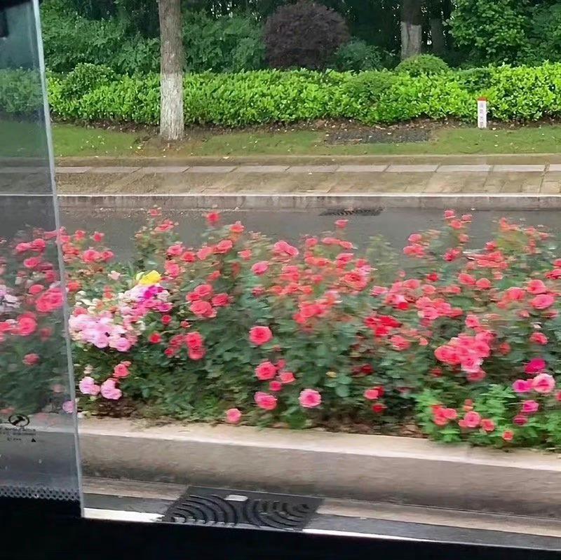  “简单点 不舒服的关系 就断开” ​​​​