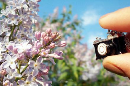 【养生谚语】三天不吃青，两眼冒金星；宁可食无肉，不可饭无汤；吃面多喝汤，免得开药