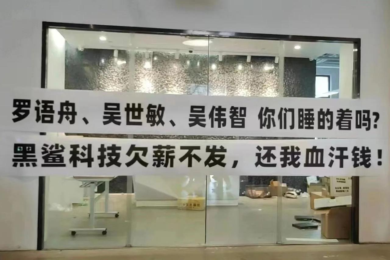 黑鲨应该是出问题了……想起卢伟