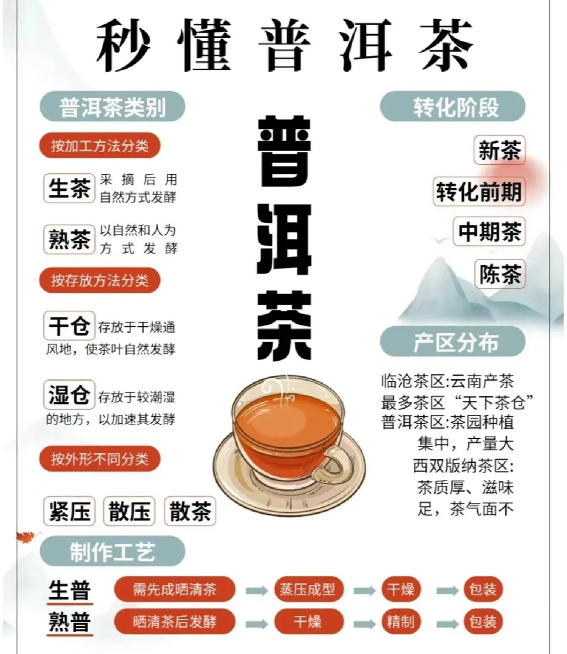 一篇文章让你秒懂普洱茶，建议收藏！
 
