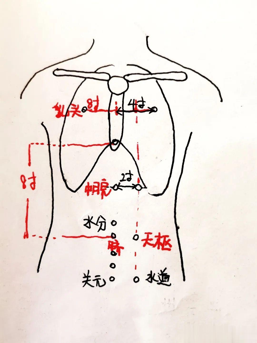 怎样快速止泻，这些好用又方便的