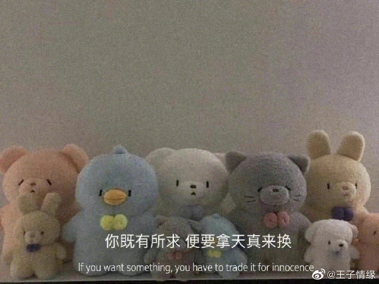 一个人最好的状态 “记性不要太好，因为回忆越多，幸福感越来越少 ​​​ ​​​